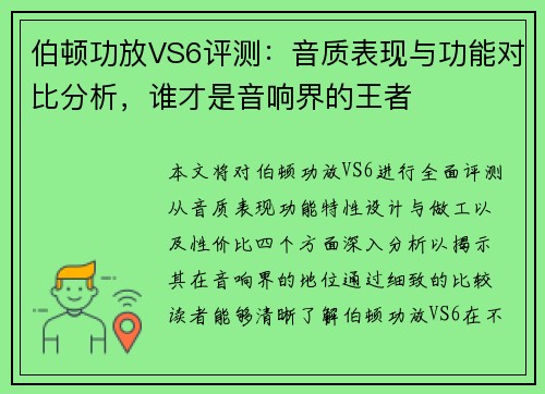 伯顿功放VS6评测：音质表现与功能对比分析，谁才是音响界的王者